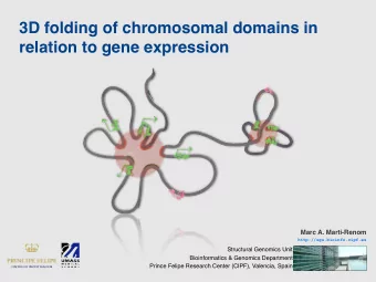 3D folding of chromosomal domains in  relation to gene expression  Marc A. Marti-Renom