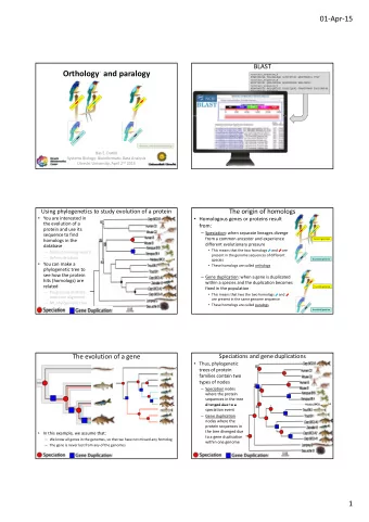 Orthology * and paralogy  &gt;pro  &gt;p  rote  tein  in_s  _seq  eque  uence_A  MTQSSHAVAA FD
