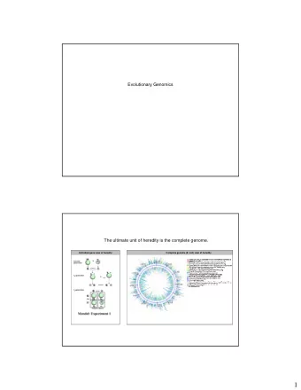 1  Problem: the DNA sequence alone does not directly inform us  about phenotype  We have much work