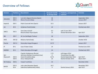 Overview of Fellows  Partners  Positions  Recruitment  Research months  Problems, consequences,