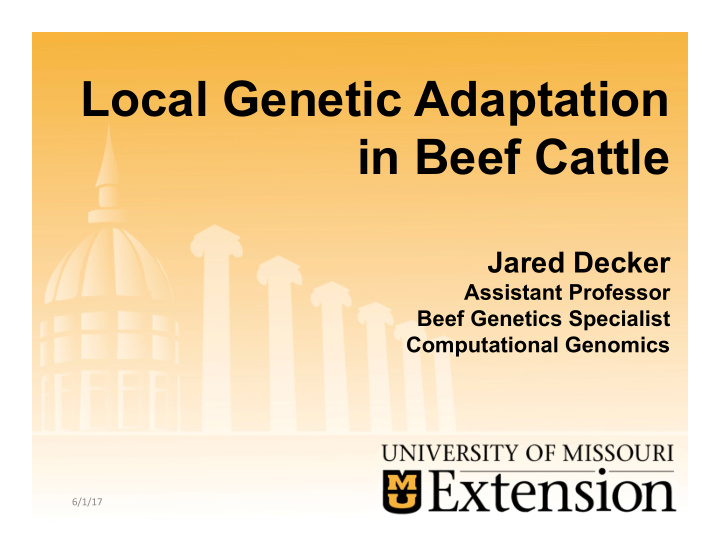 local genetic adaptation in beef cattle