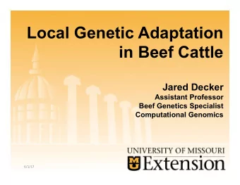 Local Genetic Adaptation  in Beef Cattle  Jared Decker  Assistant Professor  Beef Genetics