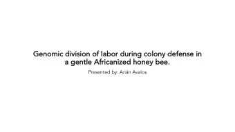 Ge  Genomic d  c divi  vision o  of l  labo  bor du  during co  g colony de  y defense i  in  a  a