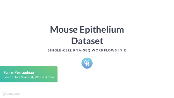mouse epithelium dataset