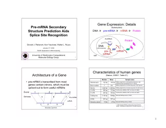 Gene Expression: Details  Pre-mRNA Secondary  (Eukaryotes)  Structure Prediction Aids DNA