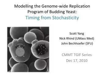 Timing from Stochasticity  Scott Yang  Nick Rhind (UMass Med)  John Bechhoefer (SFU)  CMMT TGIF