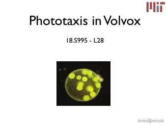 Phototaxis in  Volvox  18.S995 - L28  the beating of thousands of flagellated cells despite the
