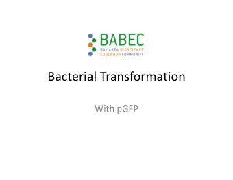 Bacterial Transformation  With pGFP  Genetic Engineering: Bacterial  Transformation  A technique