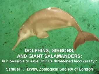 DOLPHINS, GIBBONS,  AND GIANT SALAMANDERS: Is it possible to save Chinas threatened