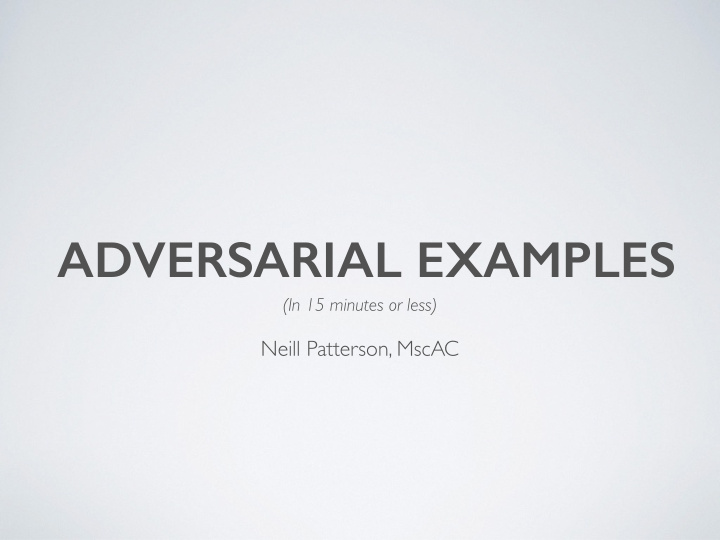 adversarial examples