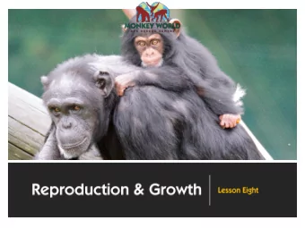 Primate Life Cycles  60  50  40  30  20  10  0  Ring-tailed lemur  Capuchin monkey  Gibbon