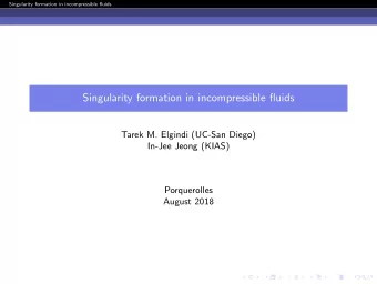 Singularity formation in incompressible fluids  Tarek M. Elgindi (UC-San Diego)  In-Jee Jeong