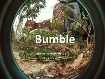 Bumble    Seeing  the  world  from  a    bugs  eye  view    Bumble