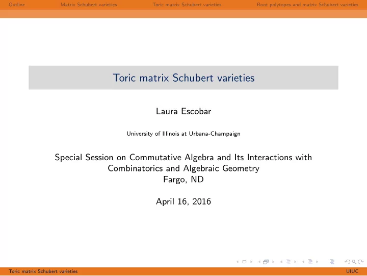 toric matrix schubert varieties