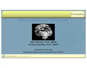 Neuroanatomy I: Structures  Marc Norman, Ph.D., ABPP  Amanda Gooding, Ph.D., ABPP  Department of