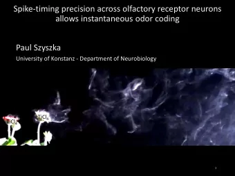 allows instantaneous odor coding  Paul Szyszka  University of Konstanz - Department of Neurobiology