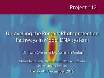Project #12  Unravelling the Primary Photoprotection  Pathways in Model DNA systems  Dr. Tom Oliver