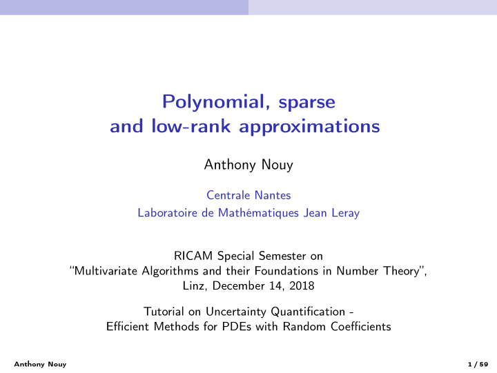 polynomial sparse and low rank approximations