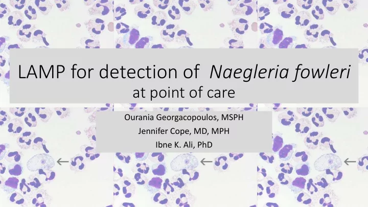 lamp for detection of naegleria fowleri