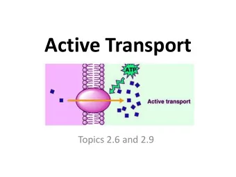 Active Transport  Topics 2.6 and 2.9  Active Transport Overview  Requires free energy (ATP) to