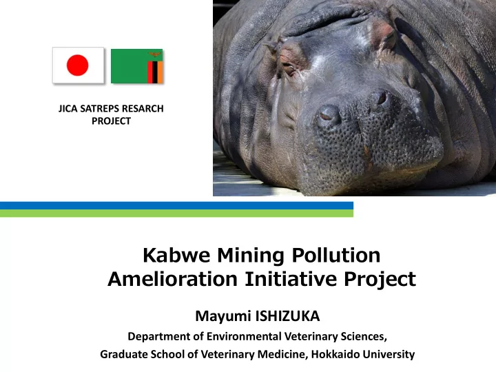 amelioration initiative project
