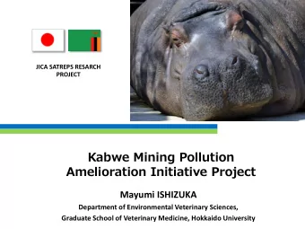 Amelioration Initiative Project  Mayumi ISHIZUKA  Department of Environmental Veterinary Sciences,