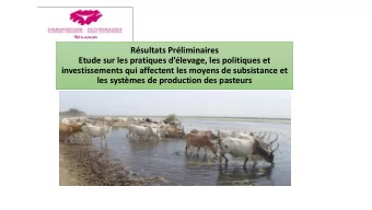 Rsultats Prliminaires  Etude sur les pratiques dlevage, les politiques et  investissements