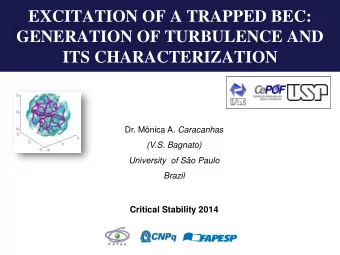 EXCITATION OF A TRAPPED BEC:  GENERATION OF TURBULENCE AND  ITS CHARACTERIZATION Dr. Mnica A.