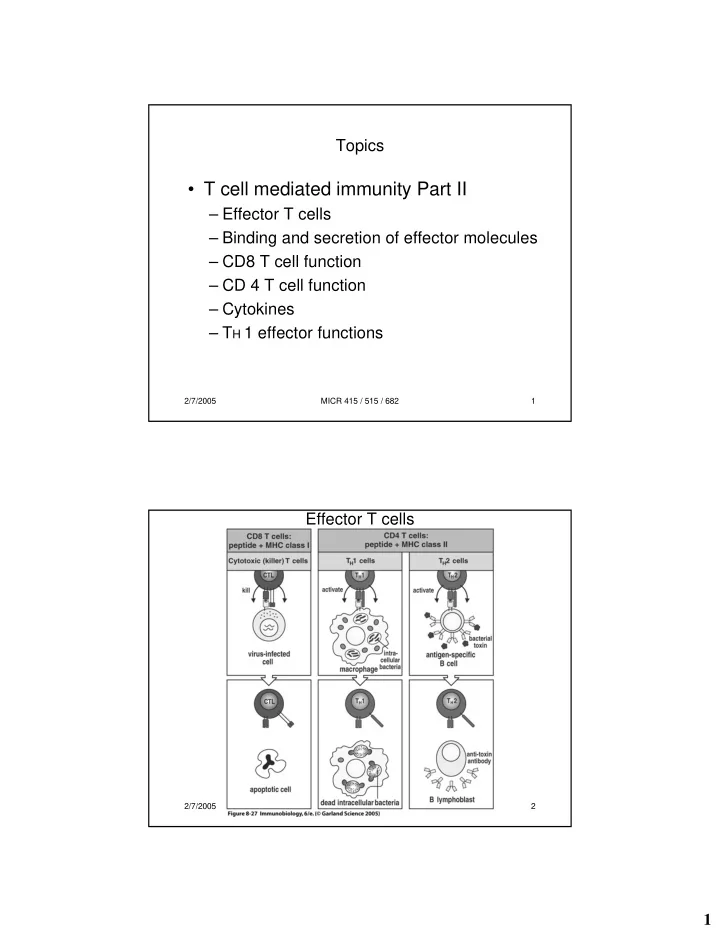 t cell mediated immunity part ii