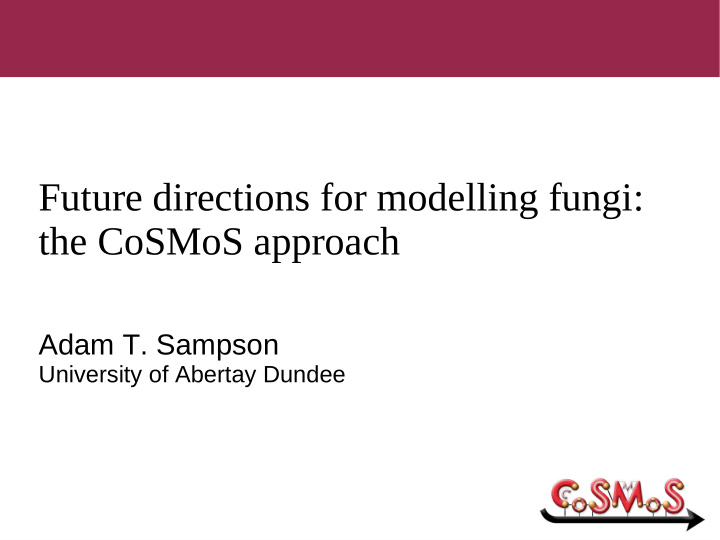 future directions for modelling fungi the cosmos approach