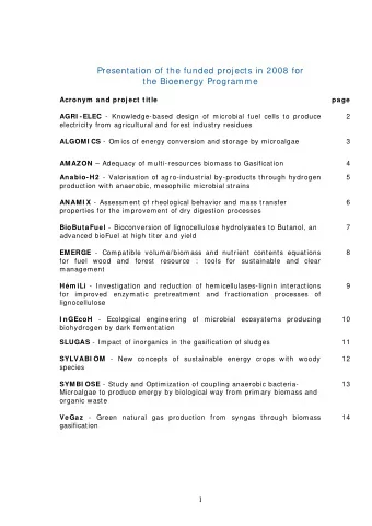 Presentation of the funded projects in 2008 for  the Bioenergy Programme  Acronym  and project