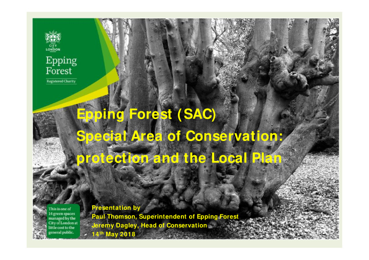 epping forest sac special area of conservation protection