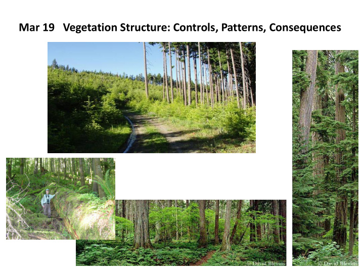 mar 19 vegetation structure controls patterns