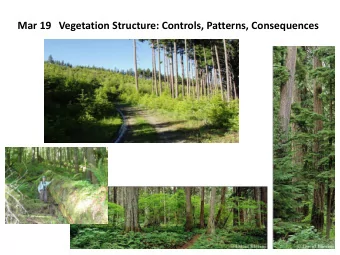 Mar 19   Vegetation Structure: Controls, Patterns, Consequences  Landscape Patterns  Human Land Use