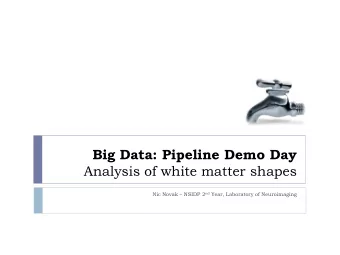 Big Data: Pipeline Demo Day  Analysis of white matter shapes Nic Novak  NSIDP 2 nd Year,