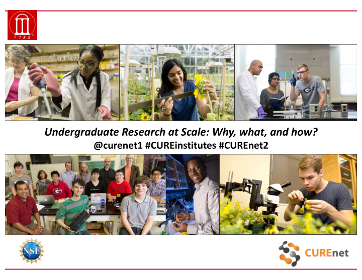undergraduate research at scale why what and how
