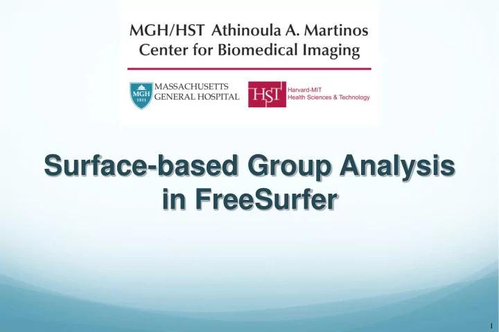 surface based group analysis