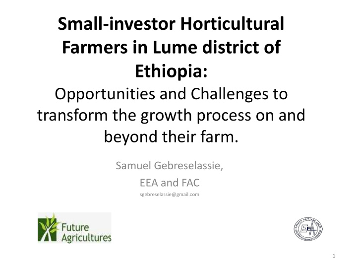 small investor horticultural farmers in lume district of
