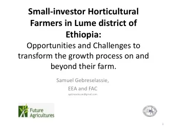 Small-investor Horticultural  Farmers in Lume district of  Ethiopia:  Opportunities and Challenges