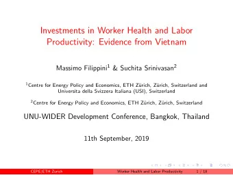 Investments in Worker Health and Labor  Productivity: Evidence from Vietnam Massimo Filippini 1