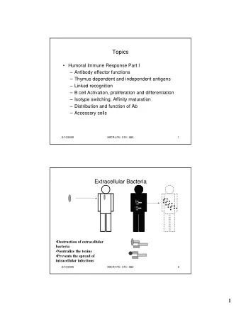 Topics   Humoral Immune Response Part I   Antibody effector functions   Thymus dependent
