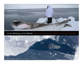 Ice for Whaling, Ice for Whales:  Observing the Current State of an Arctic Foodshed  Credits: Billy
