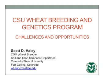 CSU WHEAT BREEDING AND GENETICS PROGRAM  CHALLENGES AND OPPORTUNITIES  Scott D. Haley  CSU Wheat