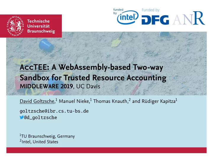 acctee a webassembly based two way sandbox for trusted r