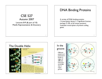 DNA Binding Proteins  CSE 527  Autumn 2007  A variety of DNA binding proteins  (transcription