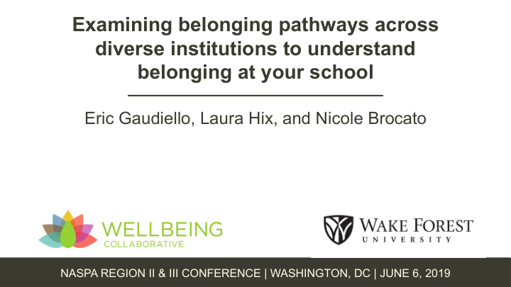 examining belonging pathways across diverse institutions