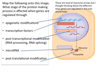 Map the following onto this image.  These are kind of imprecise arrows but I  thought thinking