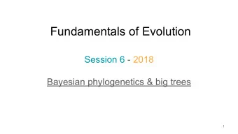 Fundamentals of Evolution  Session 6 - 2018  Bayesian phylogenetics &amp; big trees  1  Recap of