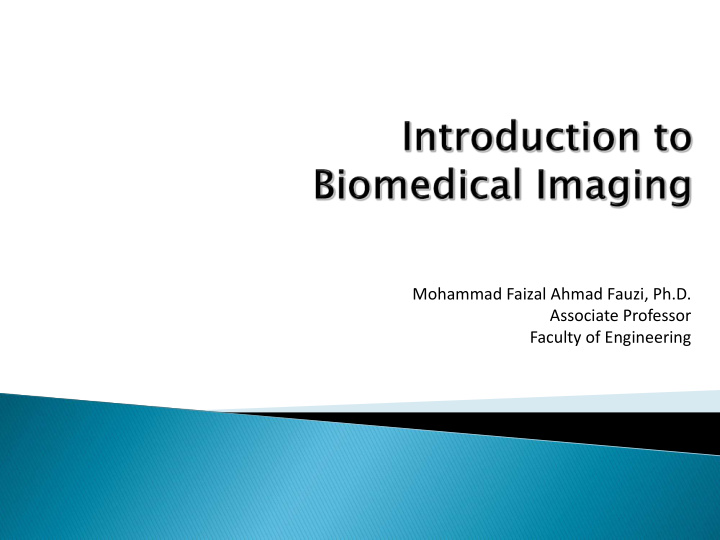 mohammad faizal ahmad fauzi ph d associate professor