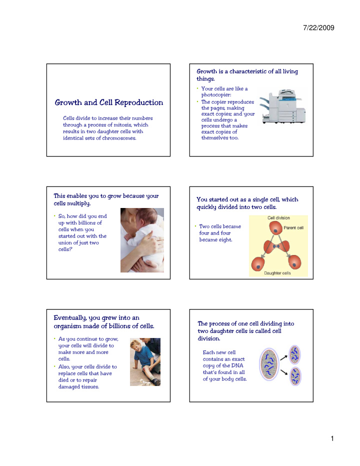 growth and cell reproduction